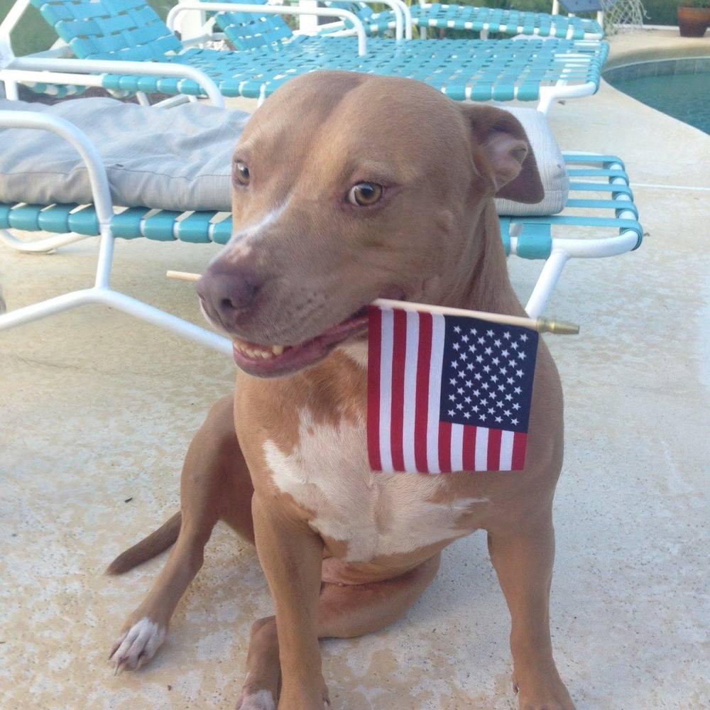 Meet your Posher, Karen fowler